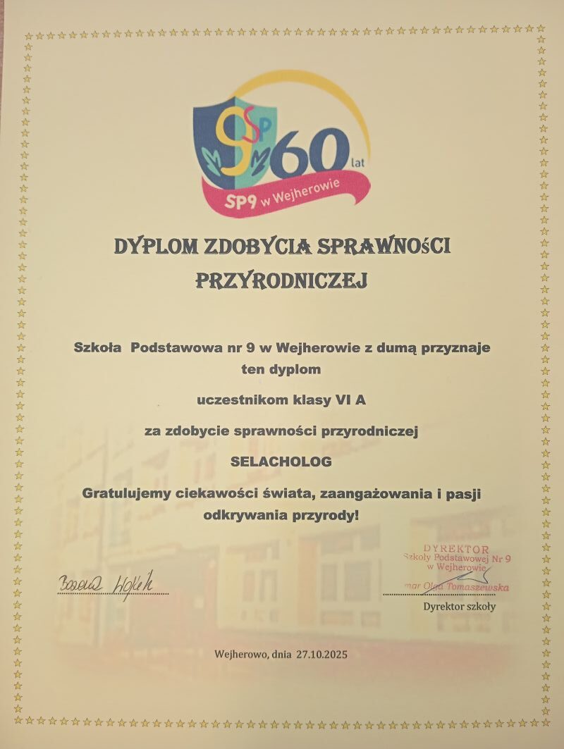 IMG_20251029_091941_1